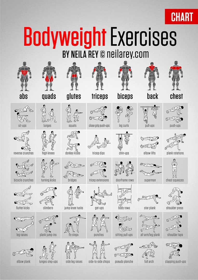 afrkml's tweet photo. Kukasih tau ya!
Kamu tuh ga harus olahraga sekeras itu buat yg baru mau mulai. Ringan2 aja dulu gpp padahal:
1. Jalan kaki cepat
2. Body weight, kek push up, sit up, plank, dll
3. Beli dumbell sepasang, maenin dah tuh di rumah

Drpd pegel duluan sama potensi badan pegel2, mending mulai aja dulu sambil pelan2 benerin form

Olahraga tuh yg penting adalah cdilakukan. Semangat!