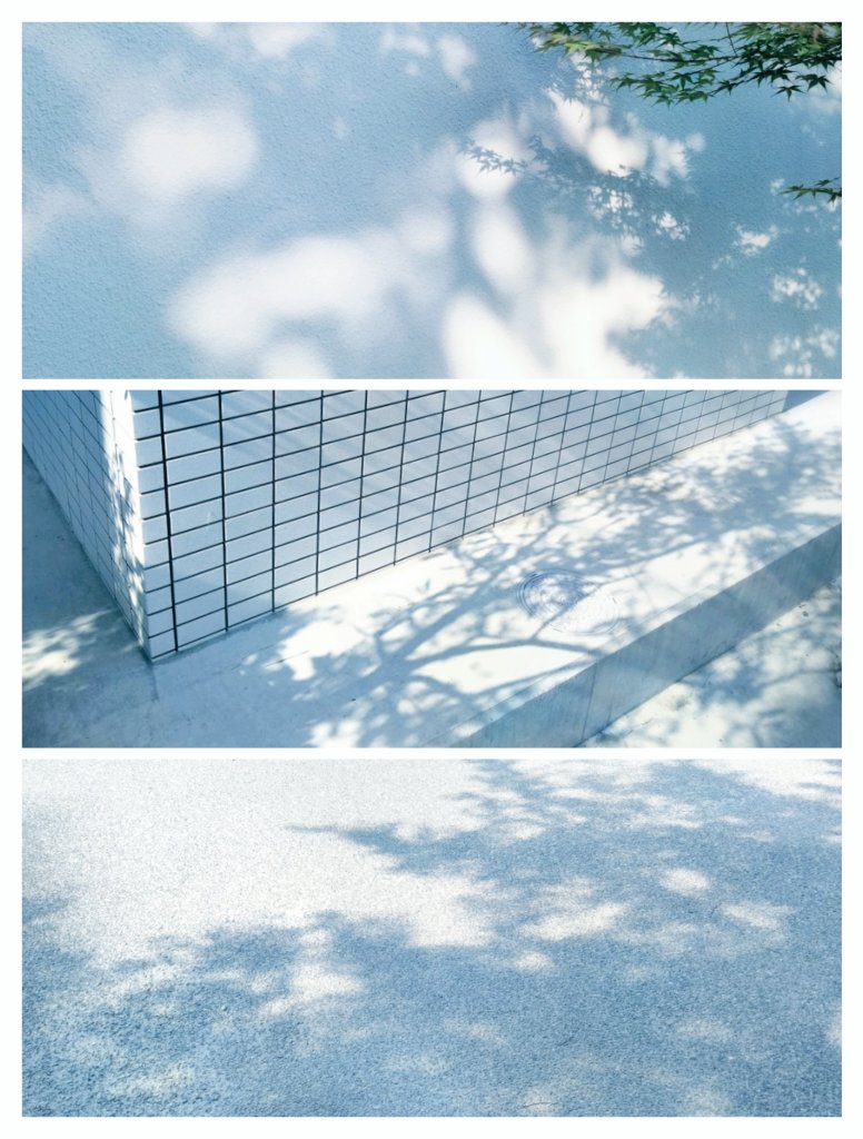 just_a_wast's tweet photo. 洗われた空、夏の気配 https://t.co/lsAZqgx8Rf