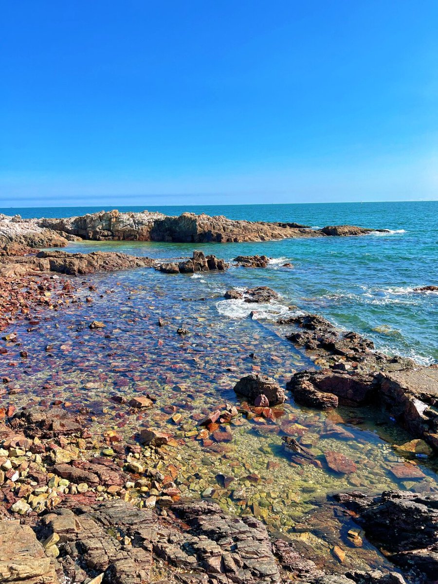 tamivermo's tweet photo. Just wrapped up a quick day trip to the coastal town! Perfect sunshine, fresh seafood, and those ocean breezes—total reset for mid-week. https://t.co/LeCkXHxUyr