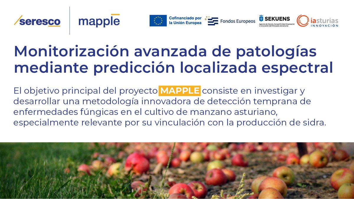 seresco's tweet photo. 🍏@seresco junto a @asincar, centro tecnológico asturiano, y @seerstems, empresa de base tecnológica operadora de drones, desarrolla el proyecto #MAPPLE Monitorización Avanzada de Patologías mediante Predicción Localizada Espectral.
Más información👉🏽https://t.co/2P5pDmCoym https://t.co/dSNO3yXQp0