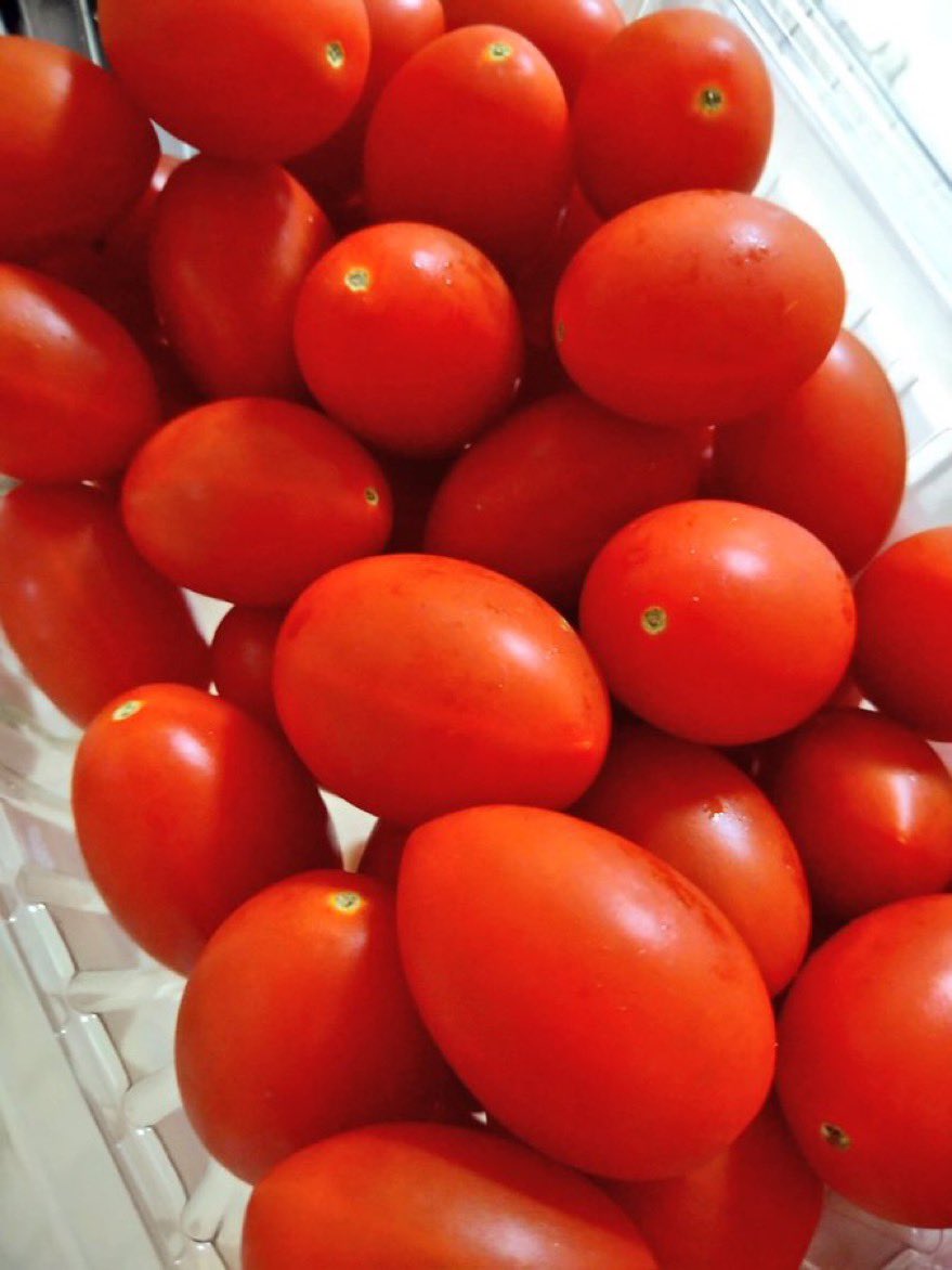 PHANT_rr's tweet photo. はっちゃけ(木)18時半オープンです！

シュガープラム🍅が本当にスイーツの様に甘くて美味しいです🤤
ヤングコーンも今が旬ですよ〜✨

定番メニューもありますので平日まったりと食べながら語らい合いましよー🥳お待ちしてます！

#新宿弐丁目横丁
#レズビアンバー
#ビアンマップ 
#ミックスバー https://t.co/LFZ05Bgi51