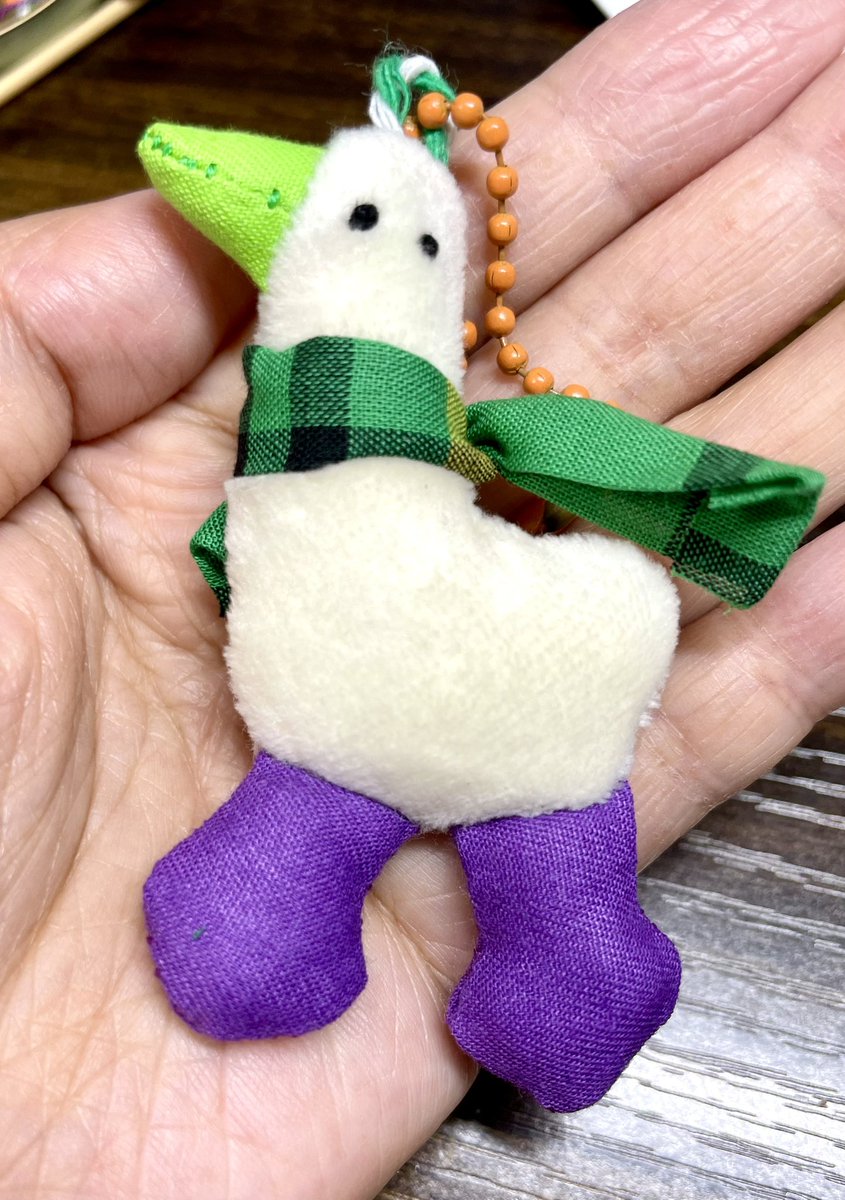 自分用の推しカラー鳥🪿