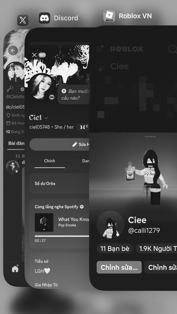Cieldfe tweet picture