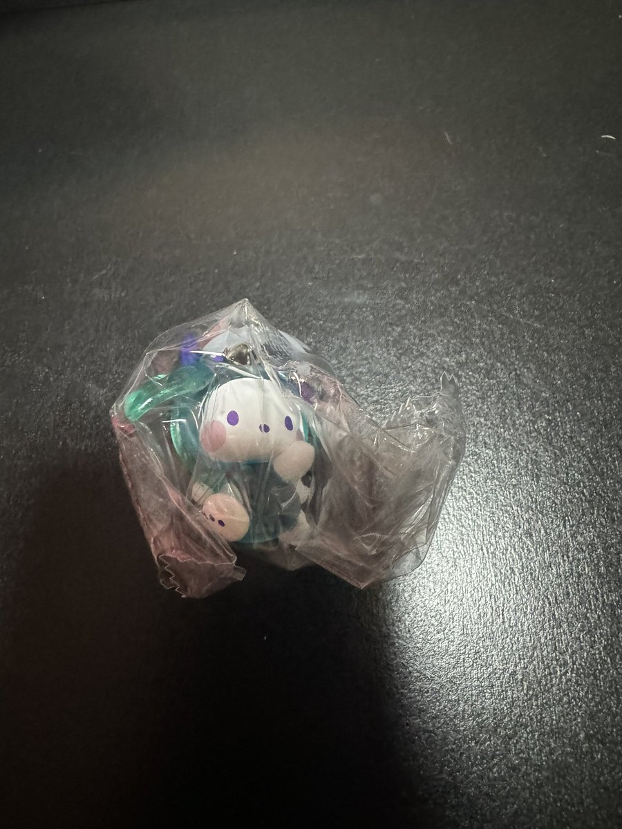 lw_igv's tweet photo. @mee_ko3 検索から失礼します！
ポチャッコ所持しています。
シナモンと交換可能でしょうか？ https://t.co/ahBWb1FPqU