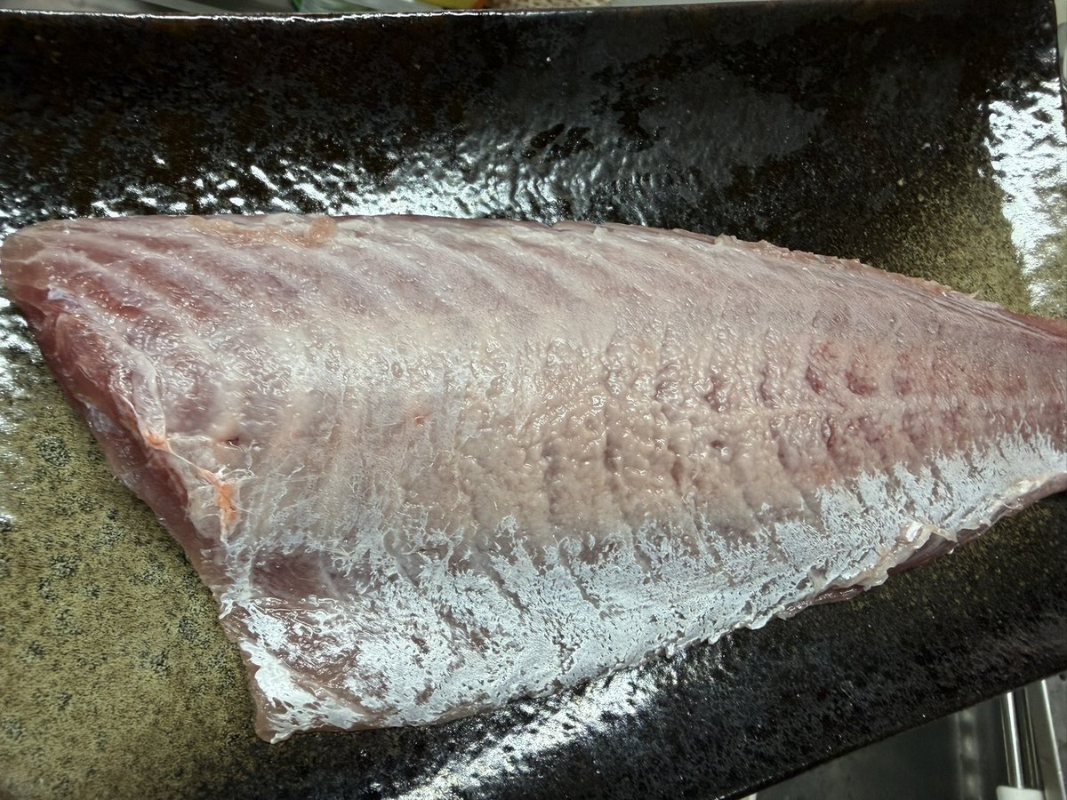 ichiofishing's tweet photo. ハチビキの脂のりがやばい✨
ハチビキもオナガダイもそこまで大きくない魚体だったけどめちゃくちゃ美味しかった https://t.co/yQfWl2f6Lu