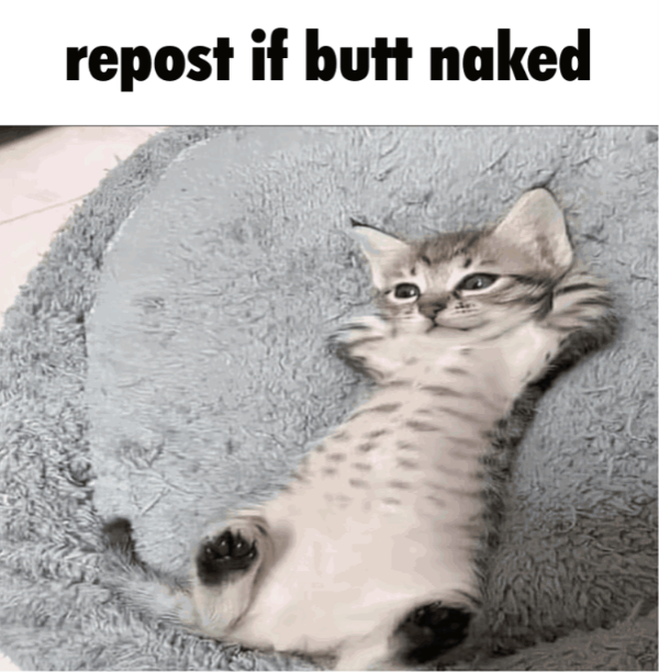 PuppyPosting__'s tweet photo. https://t.co/bmEVRKffA2