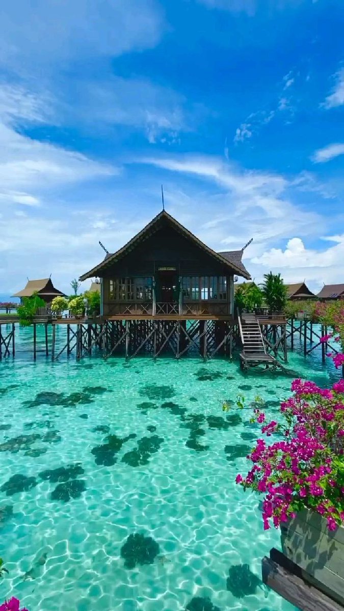 ekomiamiblog's tweet photo. This is Sabah, Malaysia: have you been here before?

#malaysia 
#solo 
#travelgoals
#Natureisbeautiful 
#sabah https://t.co/LYFddQN0eK
