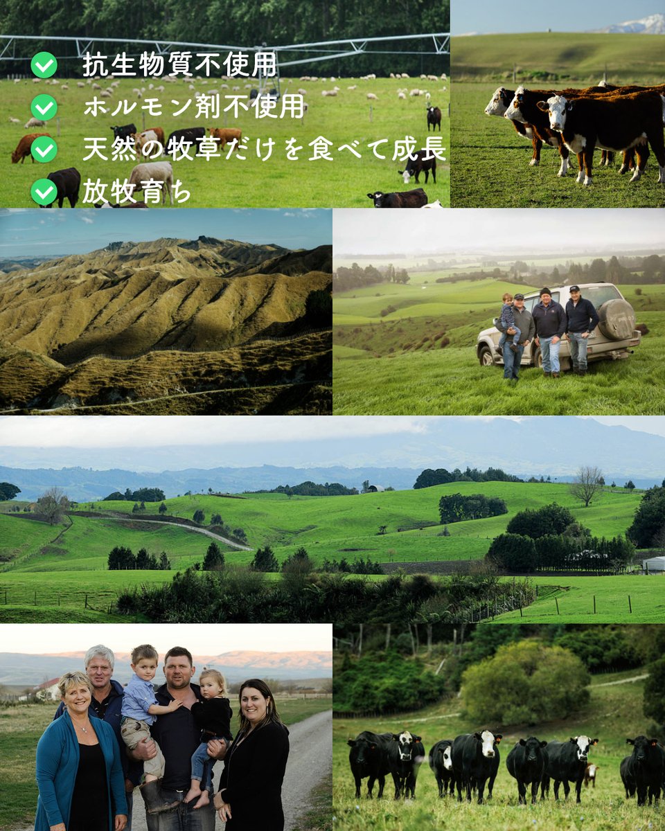 horizonfarms's tweet photo. 20％OFF🔥ニュージーランド産🇳🇿グラスフェッドビーフリブロースステーキ🐄🌿

✅ 完全放牧
✅ 成長ホルモン剤・抗生物質不使用
✅ 天然の牧草だけを食べて育った
✅ 牧草地への化学農薬不使用

赤身と霜降りのバランスが絶妙なリブロースステーキを、ぜひこの機会にお試しください🥩🏆

#horizonfarms https://t.co/Yuc0aQqNHU
