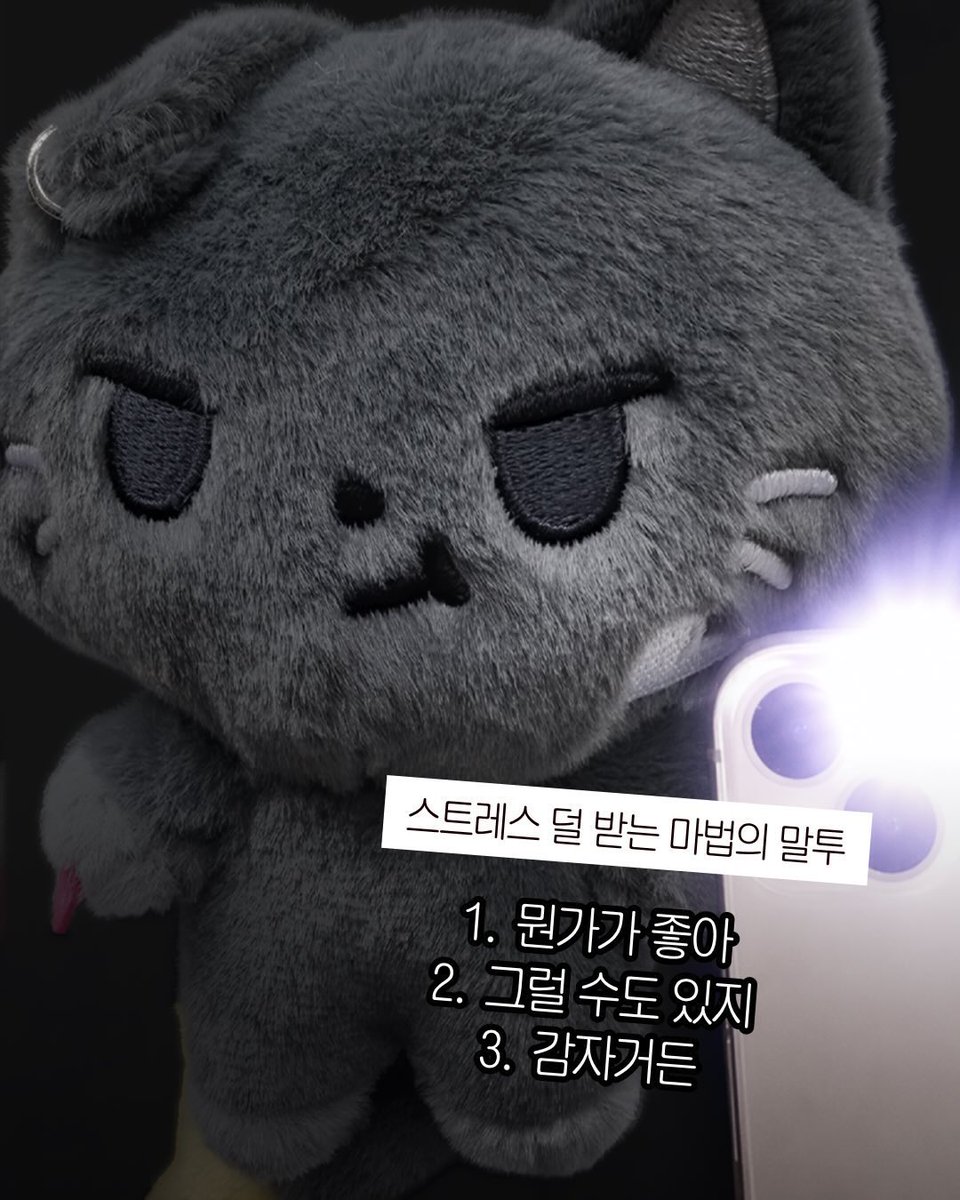 𝐏 tweet media