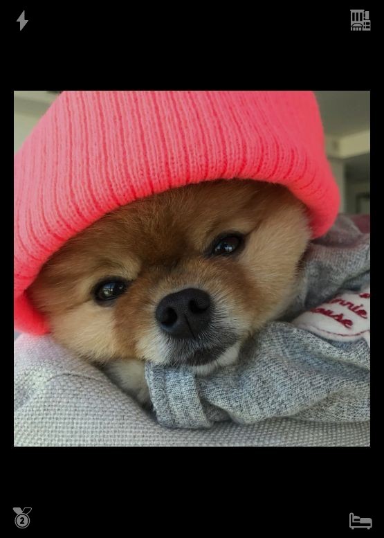 maredikelly's tweet photo. Strawberry, apple, and banana fruit salad. As they entered the main street, Clara spotted a black car with tinted windows parked on the opposite side. Feeling a sudden chill, she pulled Liam closer to her. https://t.co/Ge9BXRX8AT