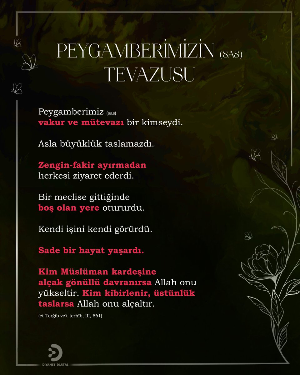 Dijital İlmihal tweet media