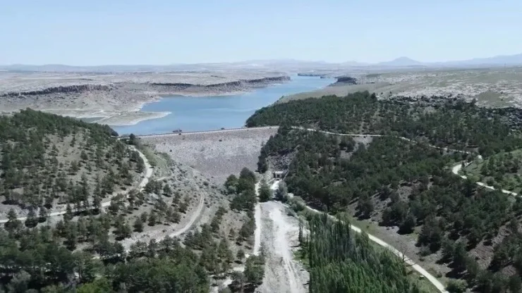 Aksaray'da Ormana Girişler Kısıtlandı: Detaylar ve Nedenler Açıklanıyor