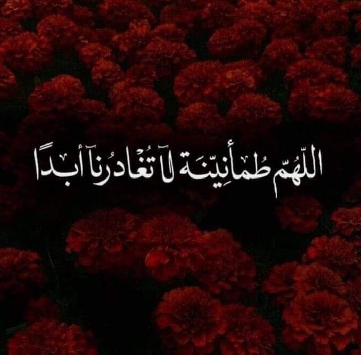 shaqr112's tweet photo. #قهوه_الصباح https://t.co/iLvQBisVc9