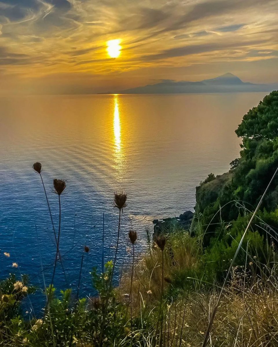 man_dares's tweet photo. Sunrising https://t.co/KfRqn9BX1k
