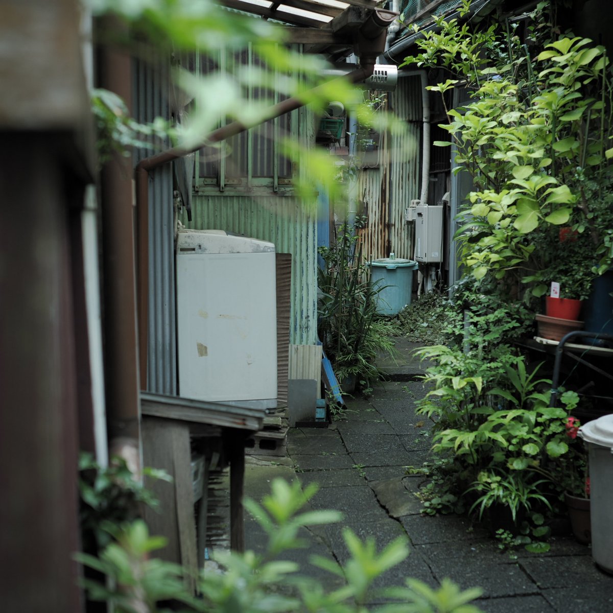 nth_istle_ tweet picture