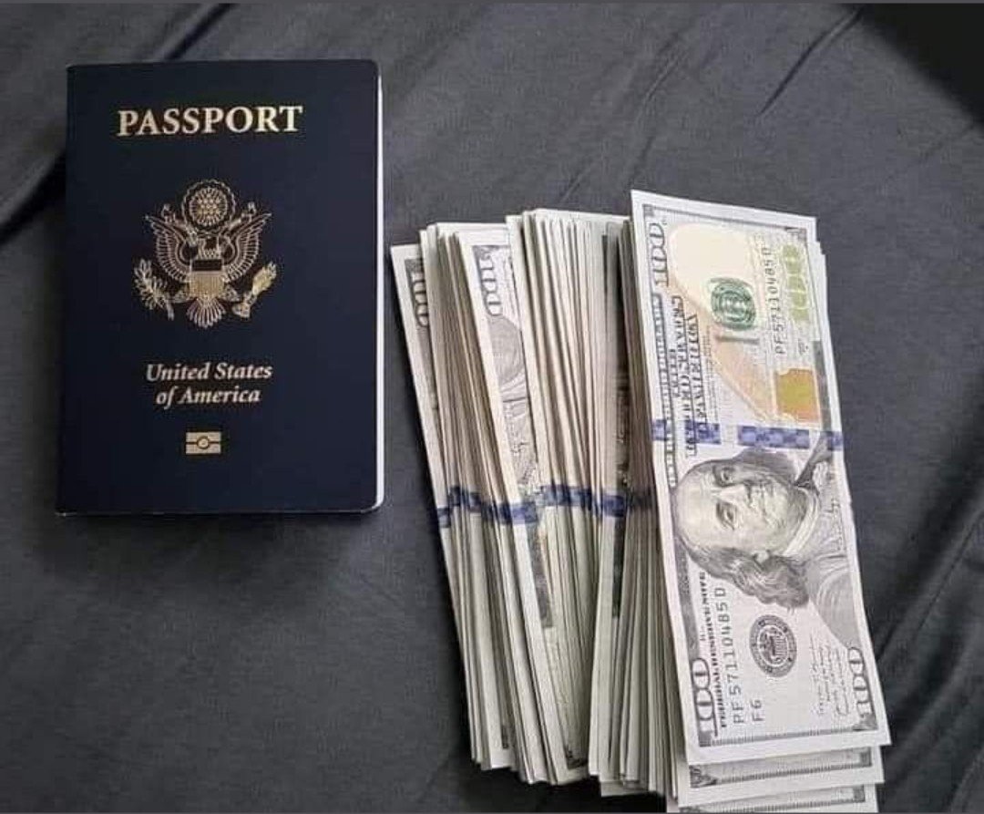 Johncoin_'s tweet photo. Make money and travel the world https://t.co/31Hmuc0vIh
