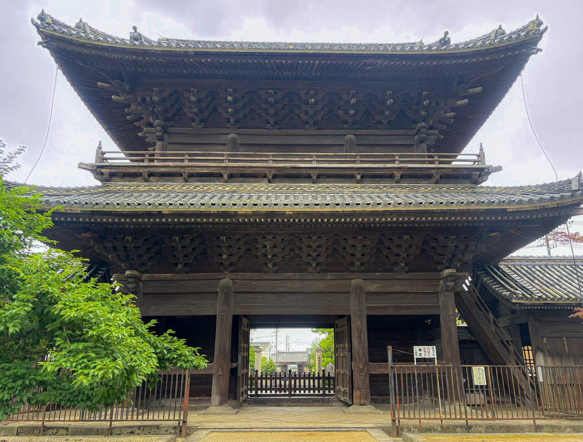 のぶのぶ (@nobunobuak) / Posts / X