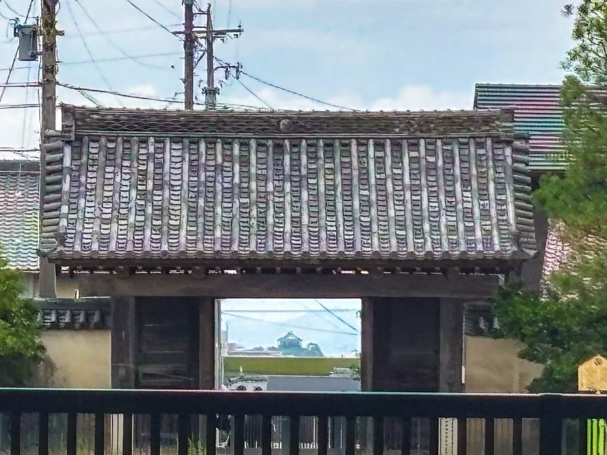 okazakikanko's tweet photo. 「ビスタライン」✨

大樹寺の三門・総門（現在は大樹寺小学校南門）越しに岡崎城が一直線に望めるこの景観は、約380年前から受け継がれてきた歴史的眺望です🏯

徳川三代将軍・家光公が、祖父・家康公の生誕の地を望めるように整えたと伝えられています✨

📍場所
大樹寺
岡崎市鴨田町広元5-1 https://t.co/PQHD2OvoAP