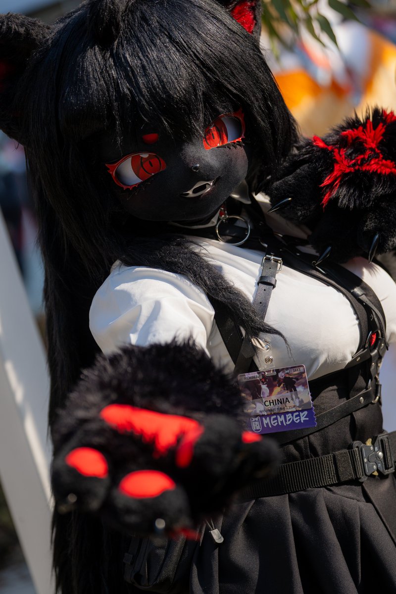 4225_fr's tweet photo. 🖤❤️ 😘 ❤️🖤
📸犬山 @ INUYAMA_IY15
#JMoF #JMoF2026 #fursuit #FURRY #퍼리 #퍼슈트 #차냐흑적주시오 https://t.co/lJoC7MiqmW