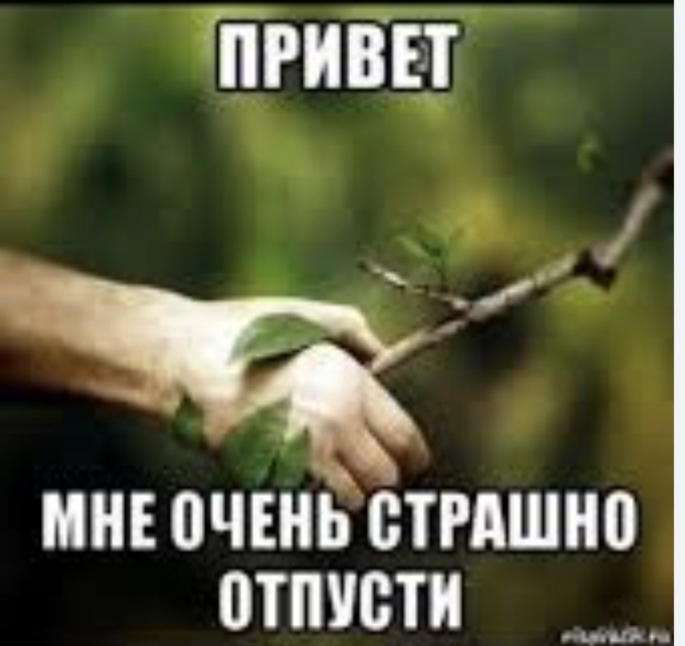 lol__chto's tweet photo. господи из реплаев под твитом про еду в геншине я узнала что есть вариант окрошки с квасом и майонезом 😭 какой квас с майонезом почему вы делаете вид что это нормально 😭 https://t.co/TvvoYBY4Uf