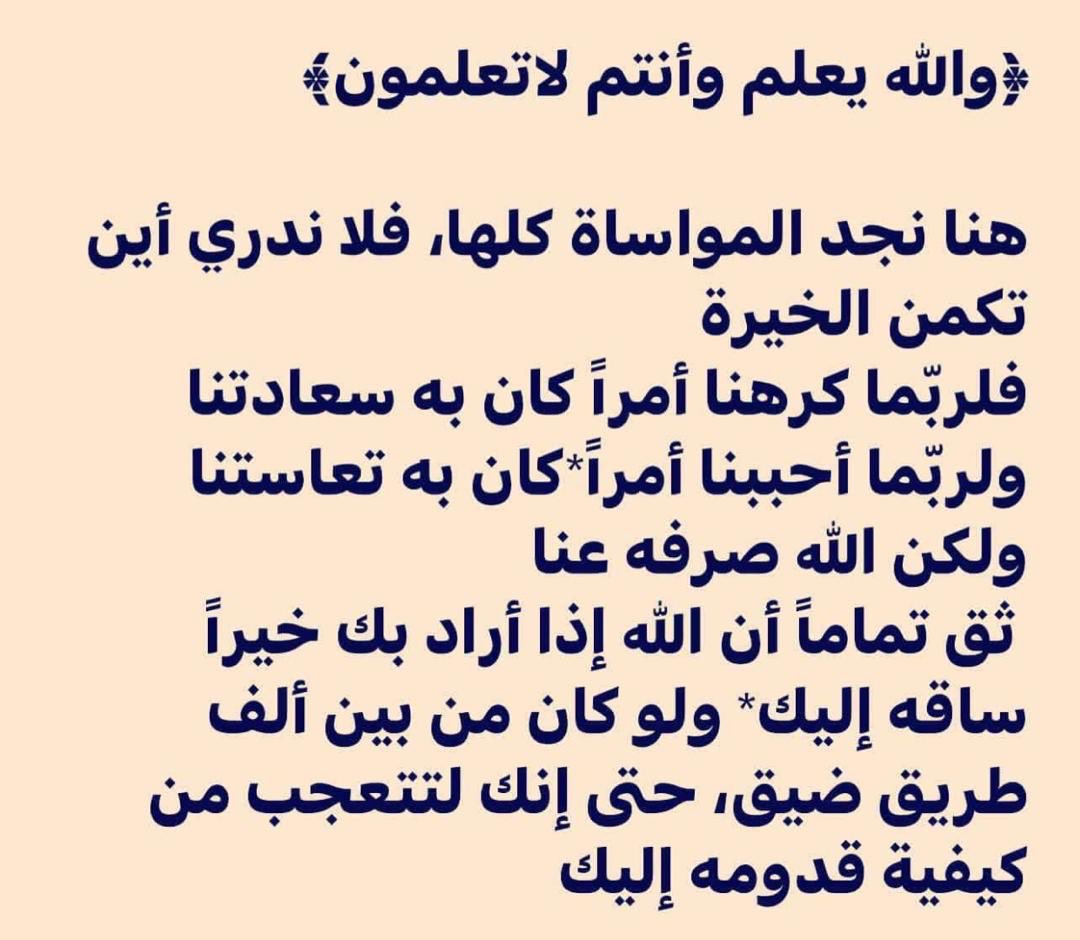 arrowsali1's tweet photo. https://t.co/sRLTrp2Hjk