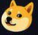 jadedev666's tweet photo. 那这个就是Sdog https://t.co/CKYztdQcjS