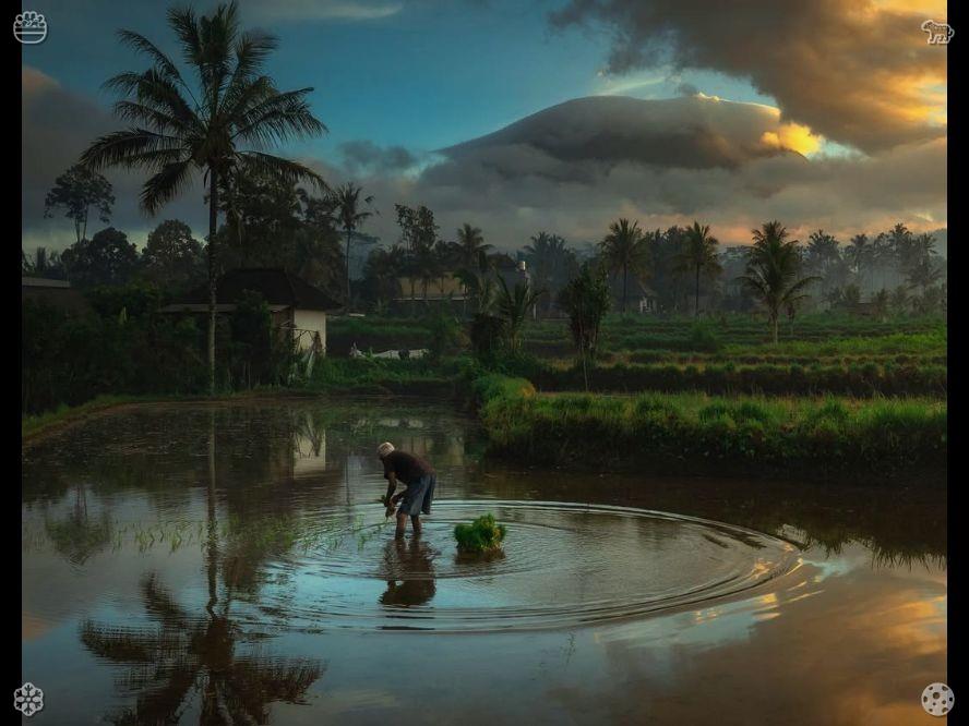sujiku_kami's tweet photo. Home vegetable gardens offer safe and healthy ingredients for daily meals. Through zero pollution and manual cultivation, they ensure food safety, bringing health assurance and the warmth of labor to every meal. https://t.co/mPtf8t2bb3