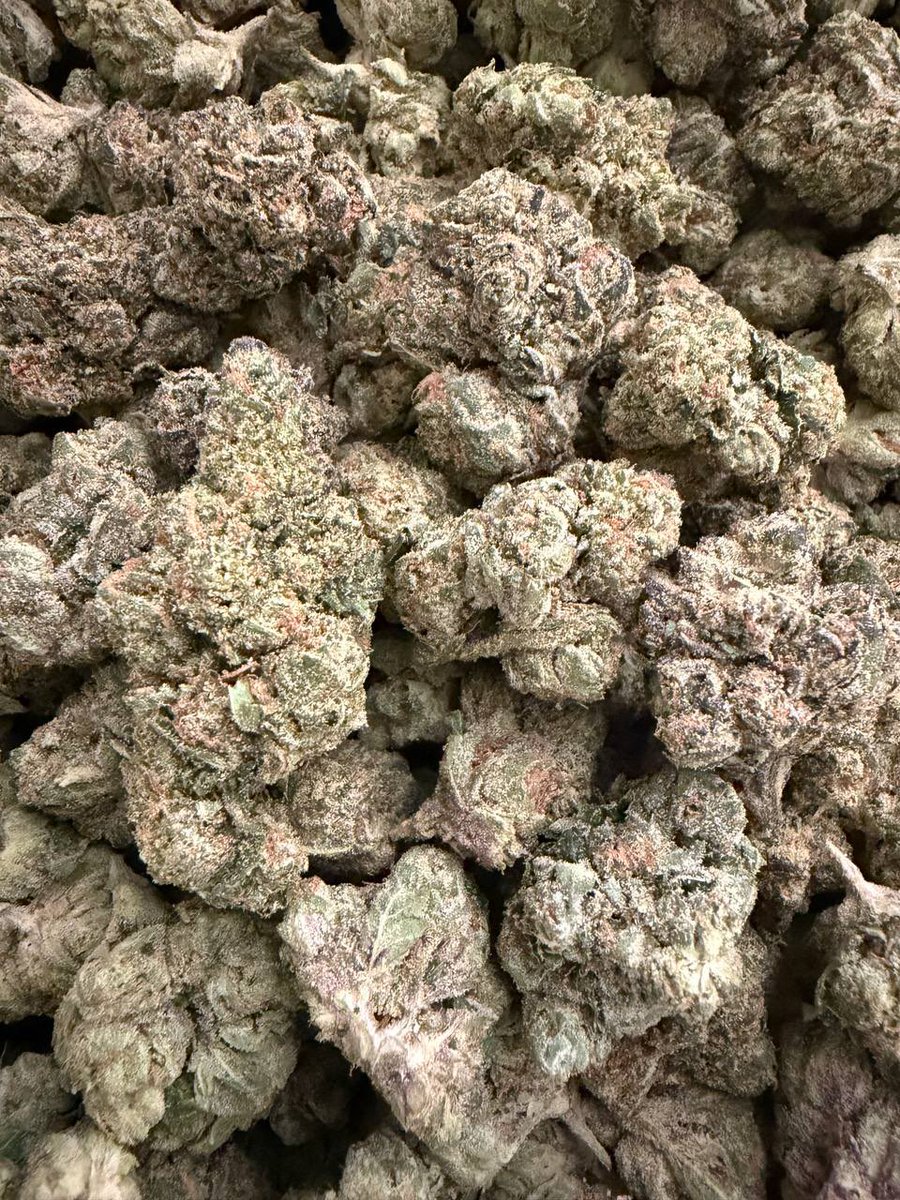 derrickojd's tweet photo. Delivering (Houston Only)
2815057790
#houston #weed #htxplug #htx #dispos #northside #southside https://t.co/rCwNCt2Sg9