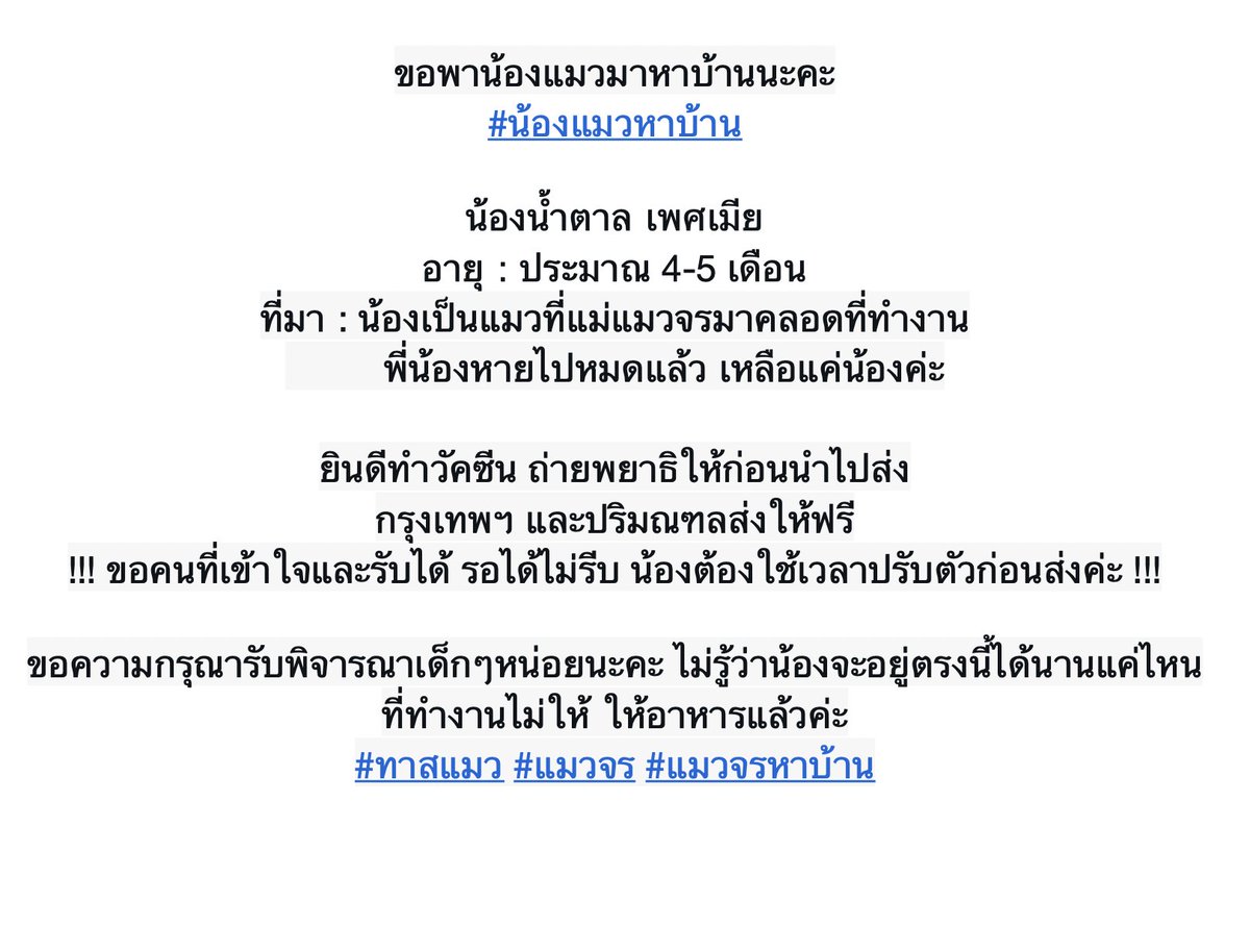 jaypiy1's tweet photo. ขอพาน้องแมวมาหาบ้านนะคะ

น้องน้ำตาล เพศเมีย
อายุ : ประมาณ 4-5 เดือน
ที่มา : น้องเป็นแมวที่แม่แมวจรมาคลอดที่ทำงาน

ขอความกรุณารับพิจารณาน้องหน่อยนะคะ ไม่รู้ว่าน้องจะอยู่ตรงนี้ได้นานแค่ไหน ที่ทำงานไม่ให้ ให้อาหารแล้วค่ะ
#ทาสแมว #แมวจร #แมวจรหาบ้าน https://t.co/LnHG9dnML5