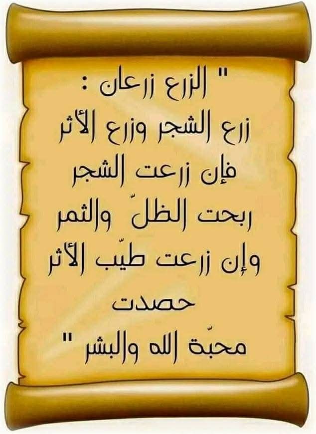 CenterInfi78723's tweet photo. @lmstqbl82735904 https://t.co/iBKdQJOcnK