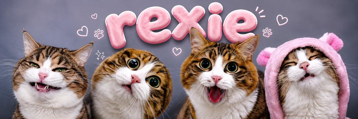 Rexiecat_sol's tweet photo. We're in a cat meta, and Rexie is one of the internet's biggest stars. Known as the living emoji cat, his hilarious facial expressions have made him go viral across Instagram and beyond.

What makes Rexie even more special is his story. After breaking his spine as a kitten and losing the use of his back legs, he never gave up. With the help of his owner, Dasha, and his iconic pink wheelchair, Rexie continues to live a happy, playful life while making millions smile.

A true meme. A true survivor. 🩷🐱

Instagram: https://t.co/IQrOYUiRoA 
Recent posts: https://t.co/7a4LsTIofk