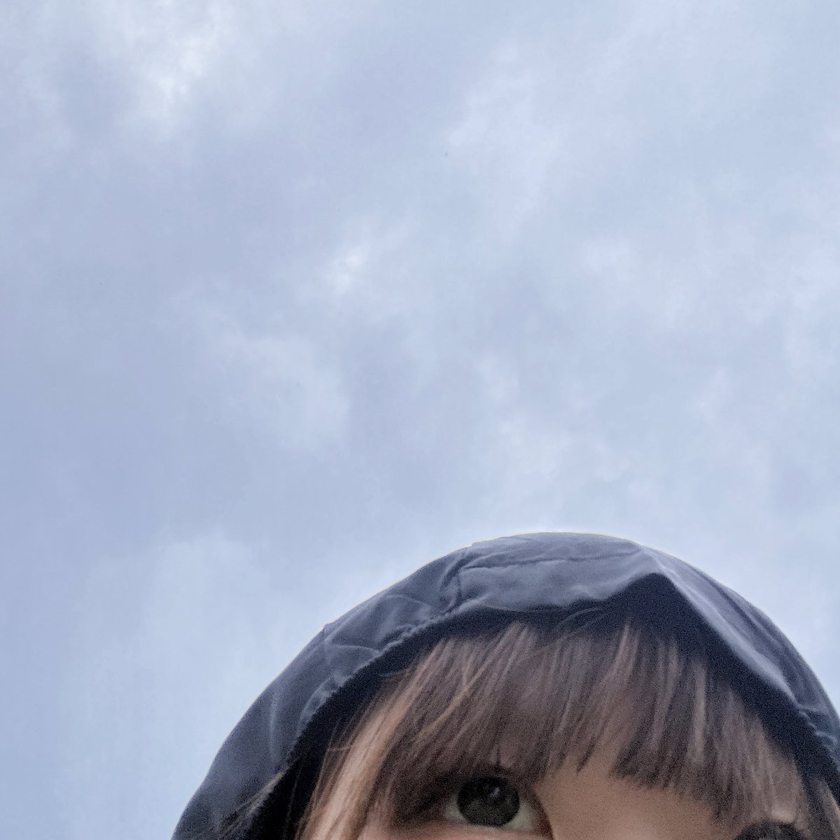 osuzu__cham's tweet photo. ジョギング始めようとしたら雨で終わってる https://t.co/OeGed351Ed