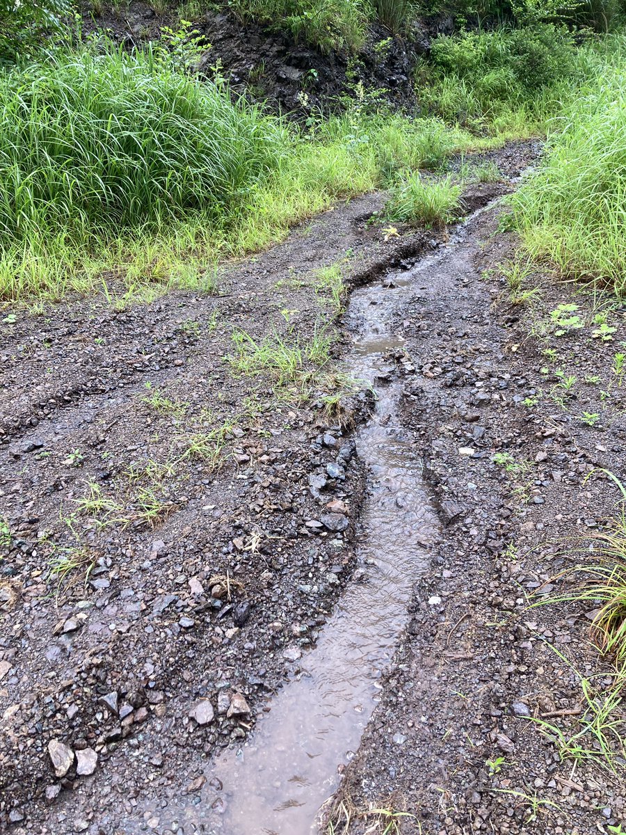 Asuta_plano's tweet photo. 作業道の水切りの大切さが実感できた
水の逃げ場がないと、水路ができて、道はあるけど車は通れず。登山から始まる下刈り現場 https://t.co/NtLa4vnk0V