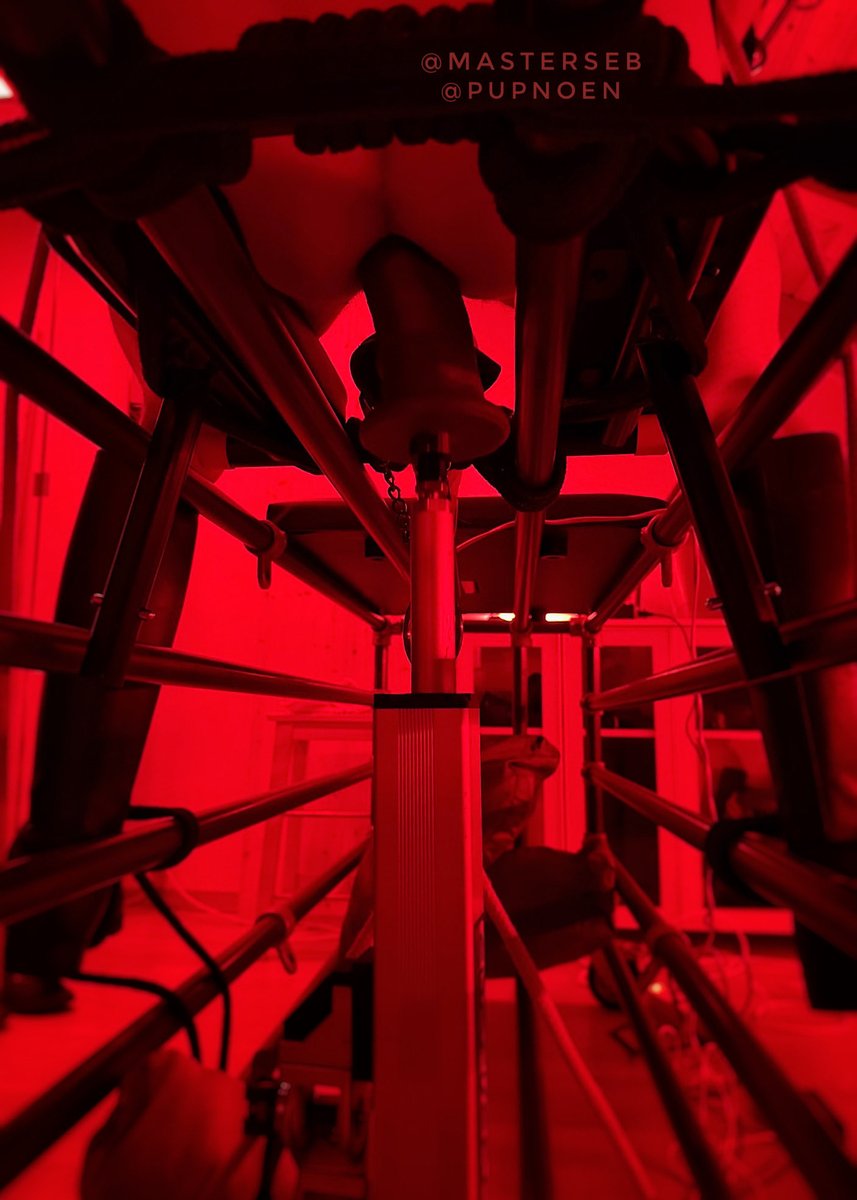 mastersebch's tweet photo. Red light. Raw trust. Total surrender.
Where restraint becomes a form of freedom.
With @PupNoen  
#GayBDSM #GayKink #GayFetish #BDSMCommunity #GayLeather #LeatherMen #SubLife #NSFWGay https://t.co/TtYmeh72V0