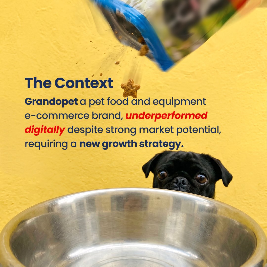 CCogniverse's tweet photo. 500% revenue growth in 7 months.

How Grandopet transformed its growth model with Cognitive Creators.

Swipe through the mini case ➜ https://t.co/6cLPNy8NFK