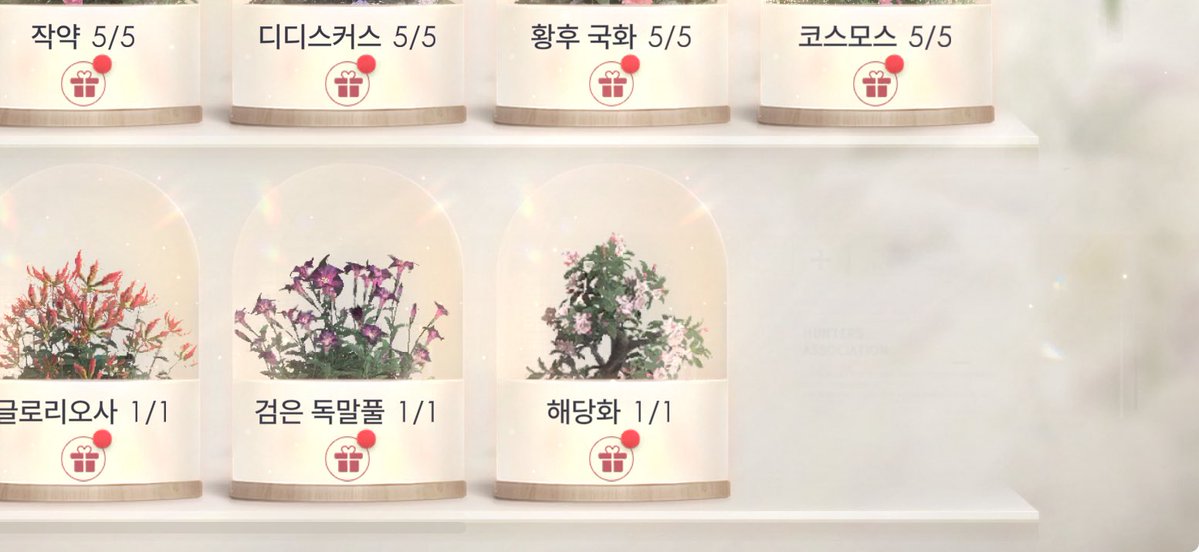 サエン🍎🍏사엔 tweet media