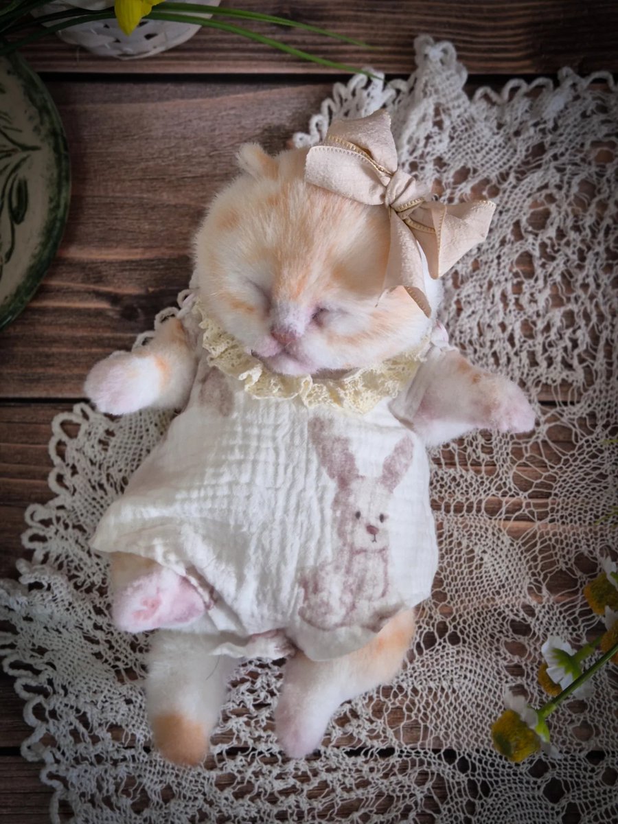 forgedbloom's tweet photo. я давно хотела научиться делать куколок тедди....увидела девушку, которая делает таких малышей, и думаю, может попробовать (у меня даже есть шарниры для такого котеночка) https://t.co/b6TgEdS5Zb