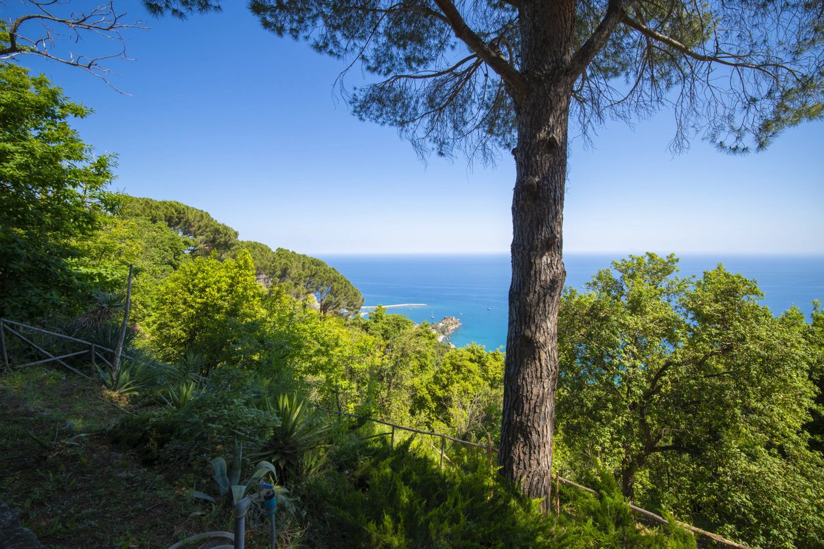 italianhouses's tweet photo. 🌊Stunning sea-view villa near #Cefalù
🏊Pool &amp; panoramic terrace
🌅Views to the #Aeolian Islands
🏡Sold fully furnished
🍕Wood-fired oven
🌿3,600m2 private grounds
💶€370,000
❓Sea-view sunsets or poolside relaxation?

https://t.co/kpKr3GWSBI
#PropertyItaly #Sicily #Palermo https://t.co/W7Omihmfe2