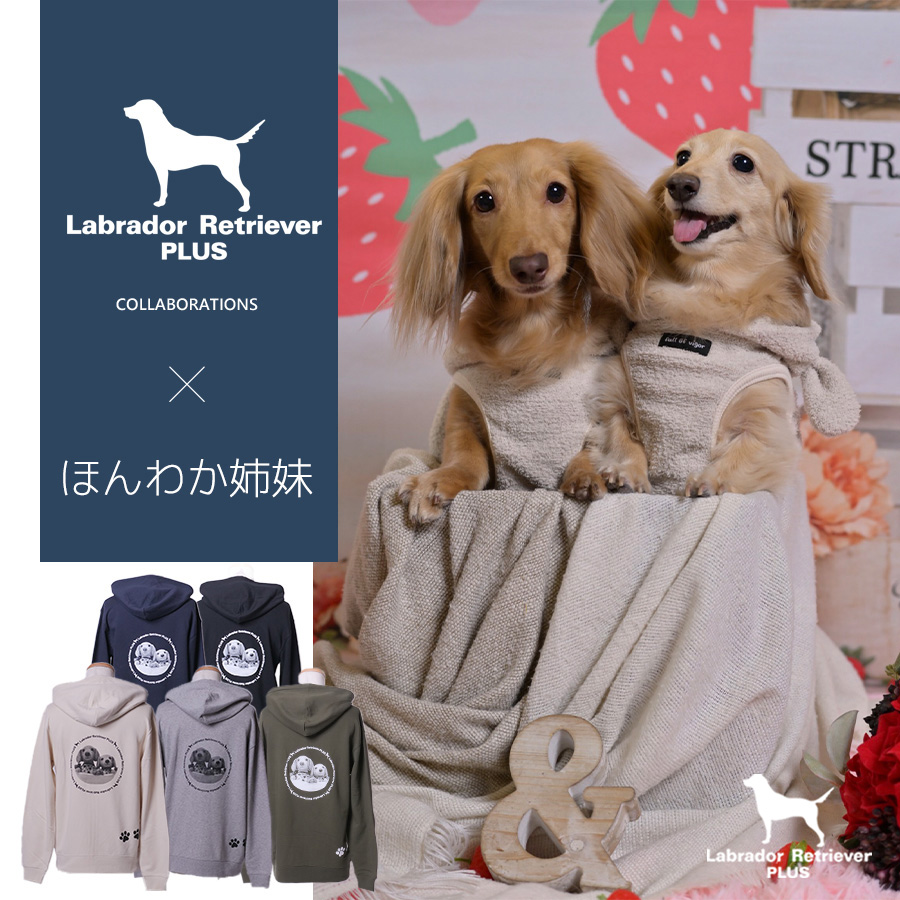 ほんわか姉妹さんとのコラボアイテムが 大好評予約受付中🐾🐾⭐️ ZIP
