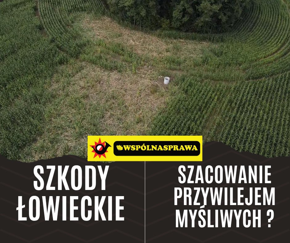 ZZWspolnaSprawa's tweet photo. W narracji Zielonych 🤢 często pojawia się wątek przywilejów myśliwych @Zieloni ☝️

Jednym z tych przywilejów ma być szacowanie szkód łowieckich 🤨. Słyszymy - “myśliwi sami szacują szkody i są sędziami we własnej sprawie.”. 
To jeden z najczęściej powtarzanych argumentów przeciwników łowiectwa. Cały czas atakują sloganami: “sami decydują o kwocie odszkodowań!”, “sami szacują, jak sobie chcą!”, “odebrać im przywileje!”.

I znów ktoś nie odrobił lekcji, nie poznał faktów. Przypomina to słowa piosenki: „Siała Baba mak, nie wiedziała jak, a Dziad wiedział, nie powiedział, a było to tak!”.

Kilka lat temu ustawodawca postanowił sprawdzić w praktyce, czy administracja publiczna zrobi to lepiej. Wprowadzono rozwiązania, w których w proces szacowania szkód uczestniczyli przedstawiciele gmin. Miało być bardziej obiektywnie, profesjonalnie i sprawiedliwie. Brzmiało dobrze, a jak wyszło 🤔?

Najwyższa Izba Kontroli sprawdziła efekty. Wnioski były dalekie od oczekiwań:
🔴 Gminy często nie były przygotowane organizacyjnie ani technicznie do wykonywania tych zadań.
🔴 Brakowało ludzi, doświadczenia, sprzętu a w wielu przypadkach wiedzy potrzebnej do prawidłowego szacowania szkód.
W praktyce okazywało się, że osoby posiadające największą wiedzę o szkodach, uprawach i zwierzynie nadal znajdowały się po stronie kół łowieckich. Państwo już raz próbowało stworzyć alternatywę. I samo przekonało się, że nie jest to takie proste, jak brzmi w politycznych hasłach.

Skoro państwo już próbowało przejąć to zadanie i napotkało problemy, to może warto zadać pytania:

🟡 Czy szacowanie szkód to naprawdę „przywilej” myśliwych?

🟡 Czy może raczej obowiązek, który wymaga wiedzy, czasu, odpowiedzialności, kosztuje koła łowieckie miliony złotych rocznie i często stawia myśliwych w centrum sporów między różnymi stronami?
 
Zanim kolejny raz usłyszymy o „przywilejach”, warto przypomnieć sobie, że część z nich państwo próbowało już przejąć. I nie był to sukces 😂.

Fakty bywają mniej efektowne niż hasła, ale to właśnie fakty powinny być podstawą dyskusji.

Darzbór 🌿
@prezydentpl 
@PremierRP 
@A_Zapalowski 
@Pawel_Salek 
@krzysztofbosak 
@PiotrWalterRN 
@KosiniakKamysz 
@StefanKrajewski 
@MRiRW_GOV_PL