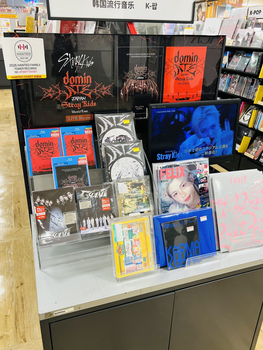 StrayKids 】 ご好評につき品切れしておりました 『Stray Kids World
