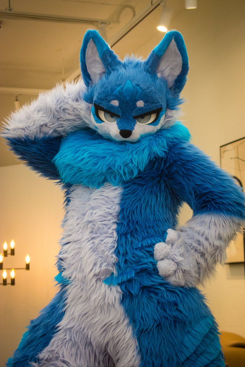 Kemo_Whaul's tweet photo. 기분이 안 좋을 때 이 포즈를 해봐요~
(출근 싫어)

📷 : @Cu_FUR_guri2921
#FursuitEveryday #fursuit #furry #kemono #ケモノ https://t.co/drEjAjpTWA
