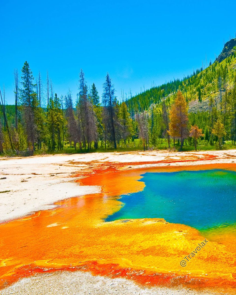 travolax's tweet photo. Bacteria drew this. Grand Prismatic Spring, Yellowstone. https://t.co/hSq9WDSXlH