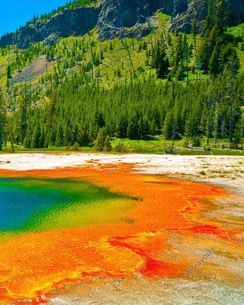 travolax's tweet photo. Bacteria drew this. Grand Prismatic Spring, Yellowstone. https://t.co/hSq9WDSXlH