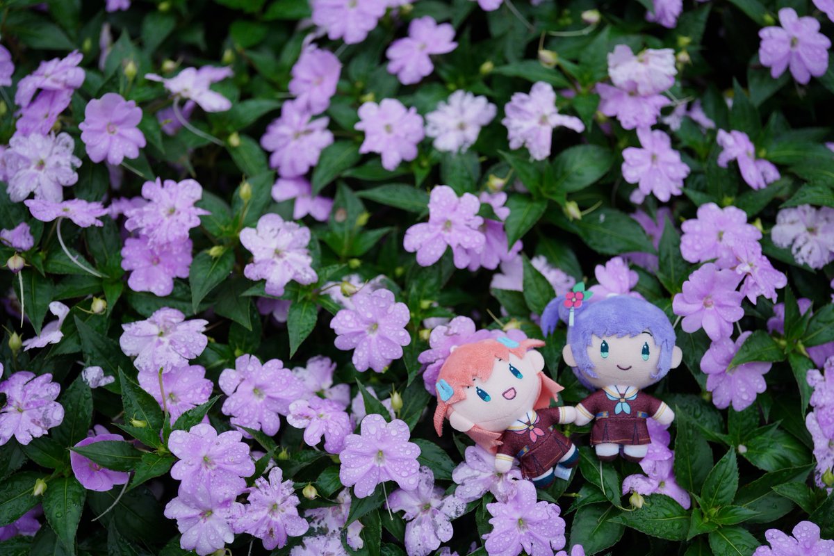Tokyowanseal's tweet photo. https://t.co/yinOpiViFo