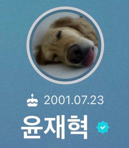 Jaesahi_treacle's tweet photo. アイコンが寝てるわんわんになってる😭😭😭
完全一致じゃん😭😭😭可愛い😭😭😭 https://t.co/jz8QHRPjTu