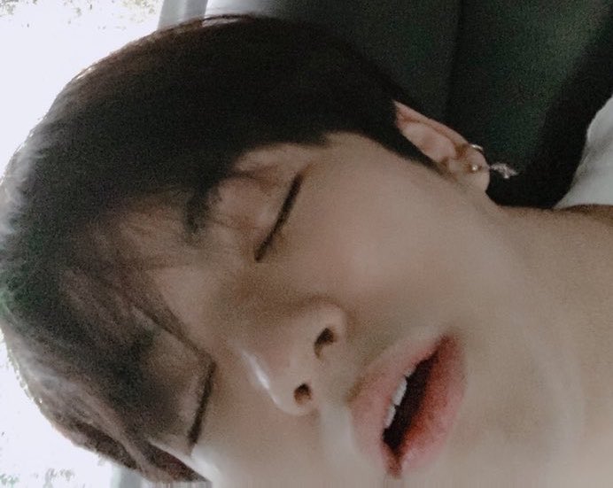 Jaesahi_treacle's tweet photo. アイコンが寝てるわんわんになってる😭😭😭
完全一致じゃん😭😭😭可愛い😭😭😭 https://t.co/jz8QHRPjTu