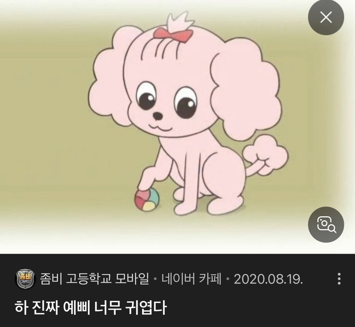 lbinrhee's tweet photo. ㅎㅇ자두야 나오는 강아지도 예삐고
ㅂㅇㅂ 강아지도 예삐임 https://t.co/D25ut8RKEE