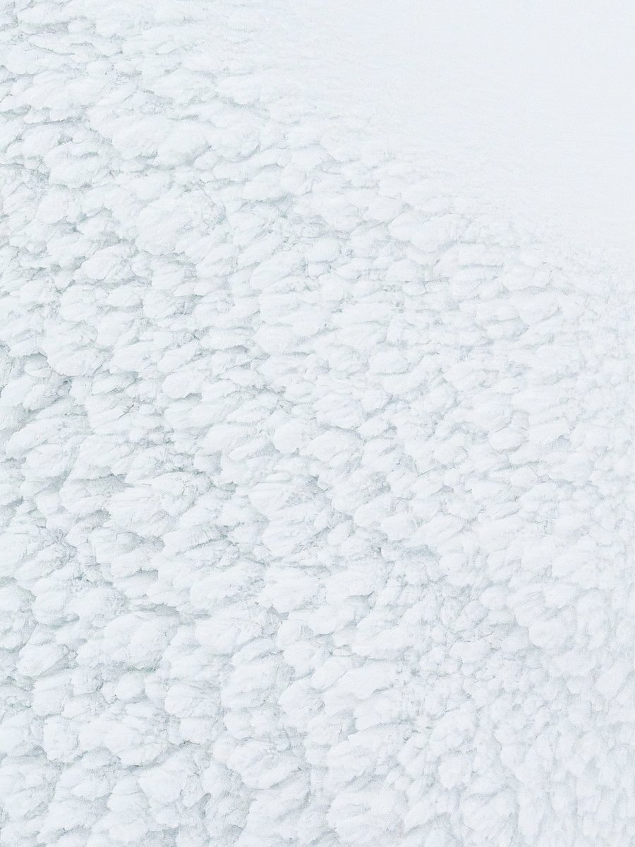 Hasselblad's tweet photo. The Third Quiz 🔎  

Soft textures stretch across the frame, interrupted only by subtle shadows and gentle curves.  

A landscape? A creature? Something else entirely?  What do you think you're looking at?  

Drop your guess in the comments. 📝  

#Hasselblad #MediumFormat #DetailInFocus #VisualChallenge #GuessTheImage