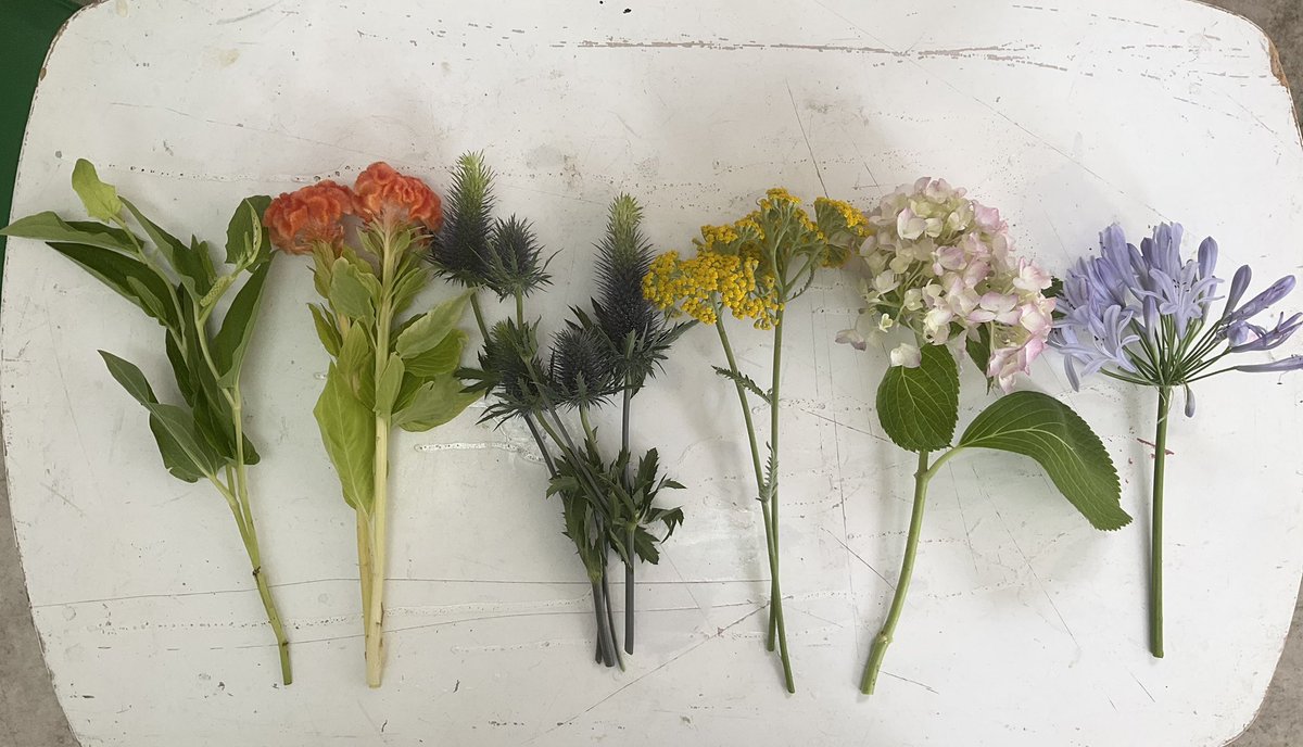 Apharmacy2's tweet photo. 6月のサブスクです🐌
お花のサブスク 『flower  galerie』

梅雨の日に元気が出るお花たち。
@ch0t0ri さんカードが可愛すぎ🦀

#お花のサブスク https://t.co/PLxflXclGx